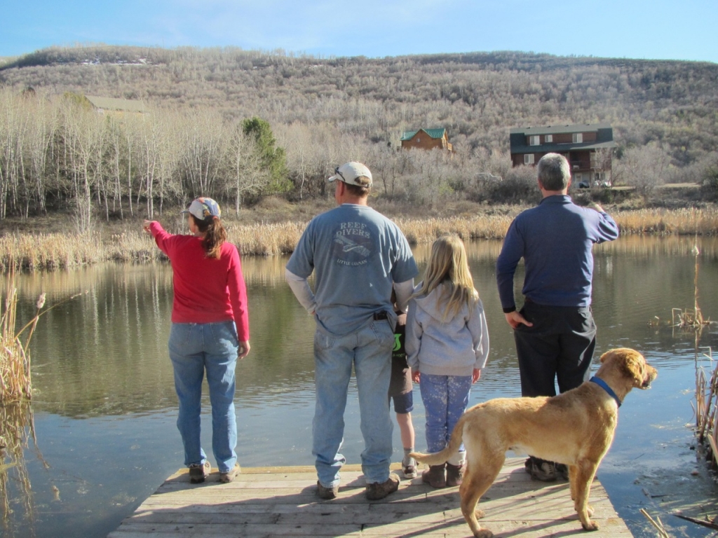 Aspen Lake Family Area